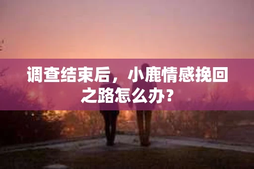 调查结束后，小鹿情感挽回之路怎么办？