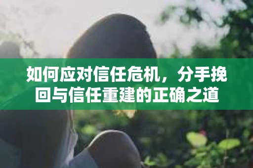 如何应对信任危机，分手挽回与信任重建的正确之道