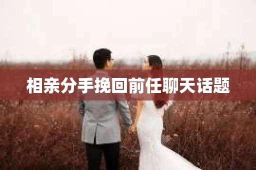 相亲分手挽回前任聊天话题