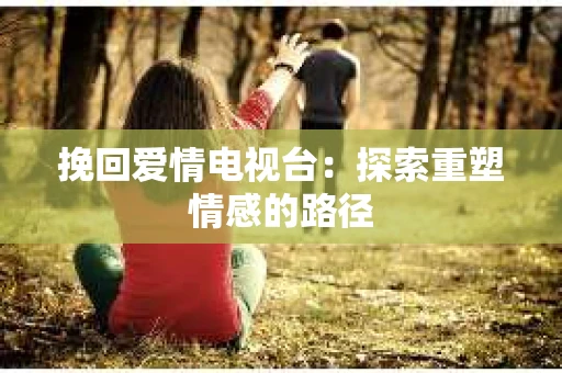 挽回爱情电视台：探索重塑情感的路径