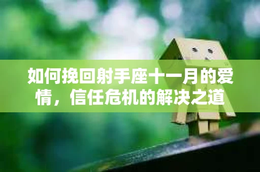 如何挽回射手座十一月的爱情,信任危机的解决之道 如何挽回射手座十一月的爱情,信任危机的解决之道