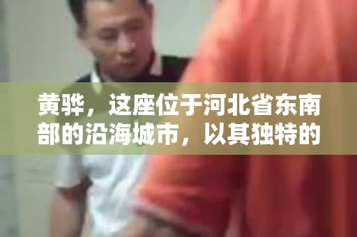 黄骅，这座位于河北省东南部的沿海城市，以其独特的地理位置和丰富的历史文化而闻名。然而，在这座城市中，还有一群人，他们以另一种方式默默守护着社会的公平与正义——私家侦探。今天，我们就来聊聊黄骅的私家侦探，看看他们是如何在这个城市中发挥作用的。