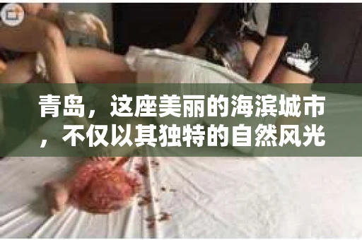 青岛，这座美丽的海滨城市，不仅以其独特的自然风光著称，更以其发达的经济和便捷的交通吸引了众多企业和个人。然而，随着商业活动的日益频繁，债务问题也日益凸显。这时，青岛专业催收公司的出现，无疑为解决债务问题提供了一种高效、合法的途径。