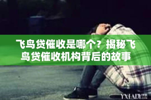 飞鸟贷催收是哪个？揭秘飞鸟贷催收机构背后的故事