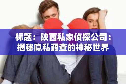 标题：陕西私家侦探公司：揭秘隐私调查的神秘世界