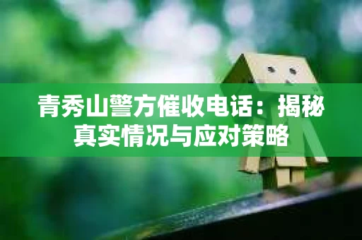 青秀山警方催收电话：揭秘真实情况与应对策略