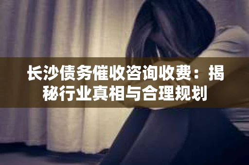 长沙债务催收咨询收费：揭秘行业真相与合理规划