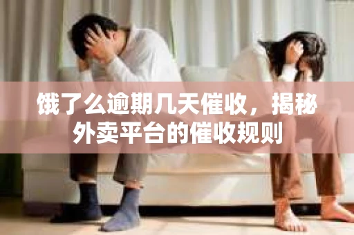 饿了么逾期几天催收，揭秘外卖平台的催收规则
