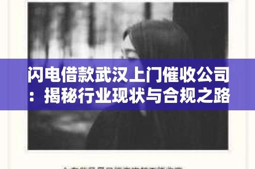 闪电借款武汉上门催收公司：揭秘行业现状与合规之路