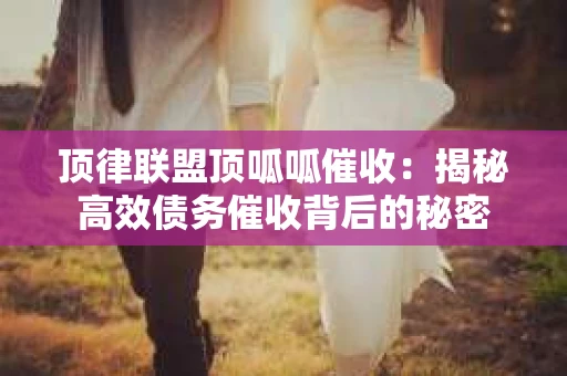 顶律联盟顶呱呱催收：揭秘高效债务催收背后的秘密