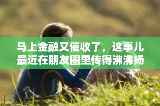 马上金融又催收了，这事儿最近在朋友圈里传得沸沸扬扬。说实话，我也有点好奇，这马上金融到底是怎么回事？催收又是怎么一回事？今天，我就来跟大家聊聊这个话题。