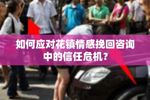 如何应对花镇情感挽回咨询中的信任危机？