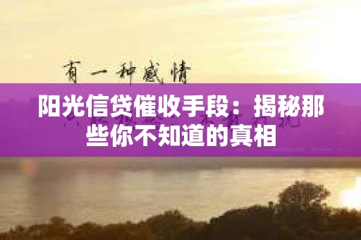 阳光信贷催收手段：揭秘那些你不知道的真相