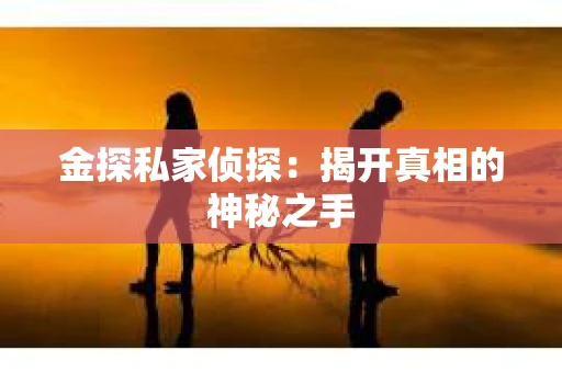 金探私家侦探：揭开真相的神秘之手