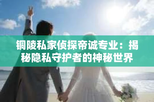 铜陵私家侦探帝诚专业：揭秘隐私守护者的神秘世界