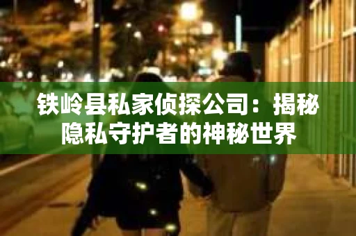 铁岭县私家侦探公司：揭秘隐私守护者的神秘世界