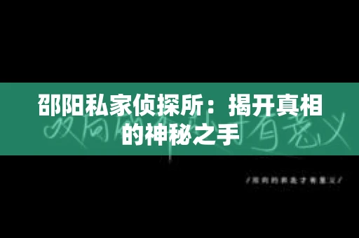 邵阳私家侦探所：揭开真相的神秘之手