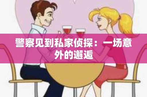 警察见到私家侦探：一场意外的邂逅