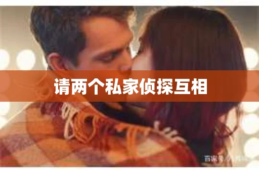 请两个私家侦探互相