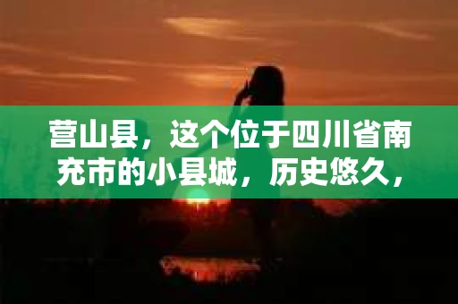 营山县，这个位于四川省南充市的小县城，历史悠久，风景秀丽。但在这个宁静的小县城里，你是否会好奇，有没有私家侦探的存在呢？今天，我就来和大家聊聊这个话题。