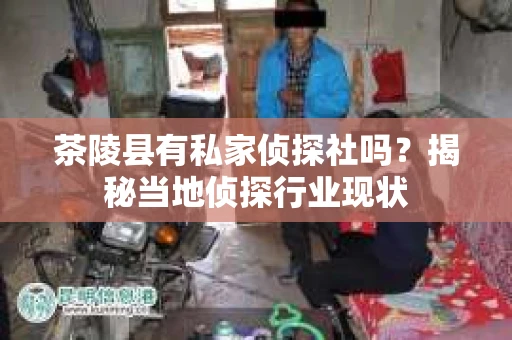 茶陵县有私家侦探社吗？揭秘当地侦探行业现状