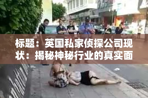 标题：英国私家侦探公司现状：揭秘神秘行业的真实面貌