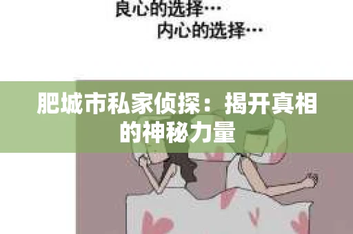 肥城市私家侦探：揭开真相的神秘力量