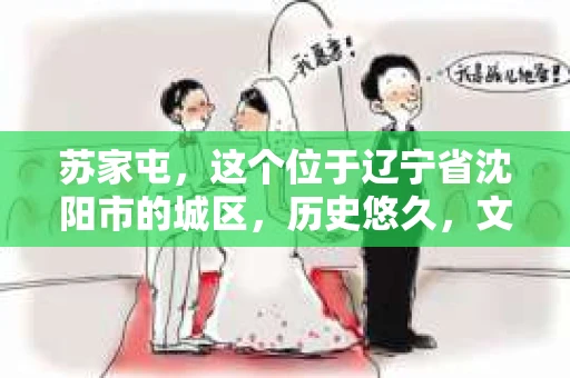 苏家屯，这个位于辽宁省沈阳市的城区，历史悠久，文化底蕴深厚。近年来，随着社会的发展，人们对于私家侦探的需求也逐渐增加。那么，苏家屯有私家侦探吗？今天，我们就来聊聊这个话题。