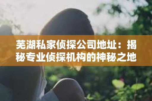 芜湖私家侦探公司地址：揭秘专业侦探机构的神秘之地