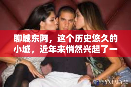聊城东阿，这个历史悠久的小城，近年来悄然兴起了一股新的服务潮流——私家侦探。今天，我们就来聊聊这个话题，看看在聊城东阿，私家侦探是如何成为人们生活中的一部分的。