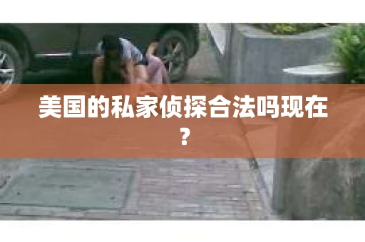 美国的私家侦探合法吗现在？
