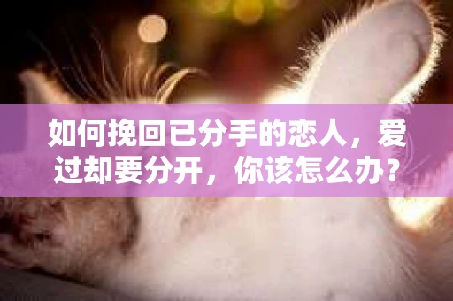 如何挽回已分手的恋人,爱过却要分开,你该怎么办? 如何挽回已分手的恋人,爱过却要分开,你该怎么办?