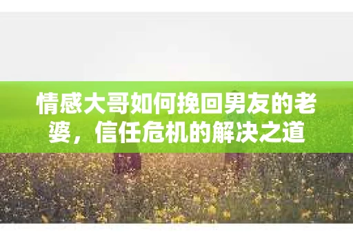 情感大哥如何挽回男友的老婆，信任危机的解决之道