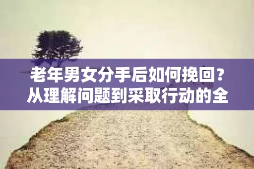 老年男女分手后如何挽回？从理解问题到采取行动的全面指南