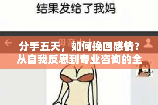 分手五天，如何挽回感情？从自我反思到专业咨询的全面解决方案