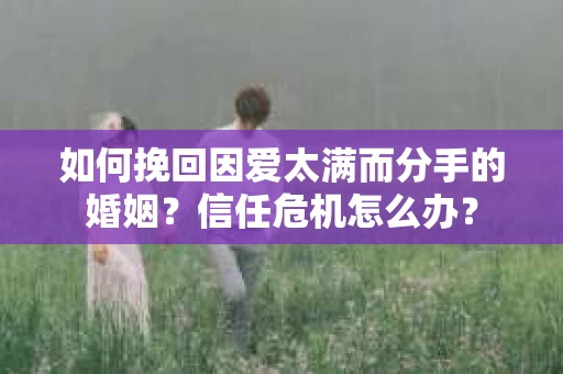 如何挽回因爱太满而分手的婚姻?信任危机怎么办? 如何挽回因爱太满而分手的婚姻?信任危机怎么办?