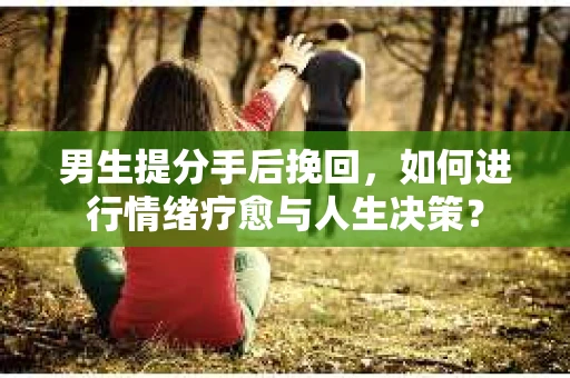 男生提分手后挽回,如何进行情绪疗愈与人生决策? 男生提分手后挽回,如何进行情绪疗愈与人生决策?
