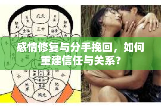 感情修复与分手挽回，如何重建信任与关系？