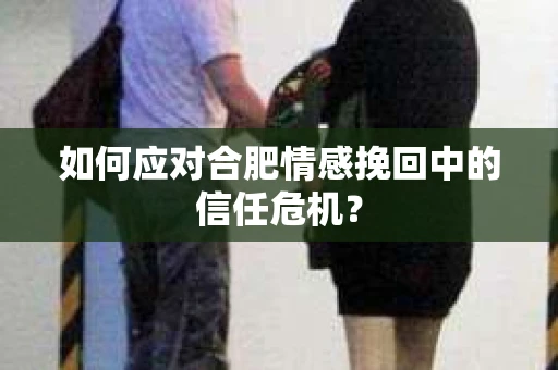 如何应对合肥情感挽回中的信任危机？