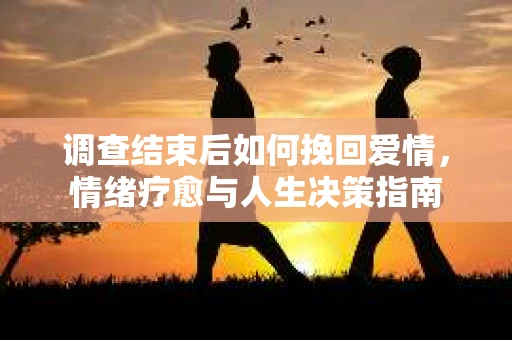 调查结束后如何挽回爱情，情绪疗愈与人生决策指南