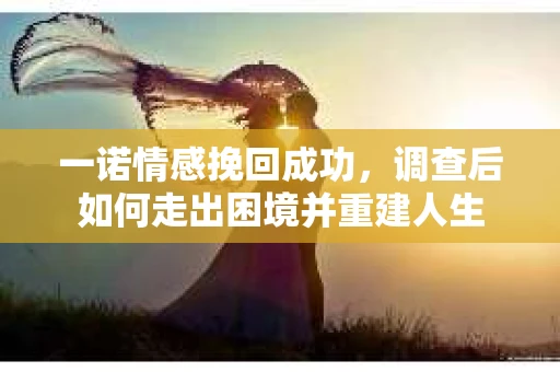 一诺情感挽回成功，调查后如何走出困境并重建人生