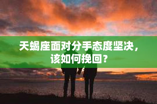 天蝎座面对分手态度坚决，该如何挽回？